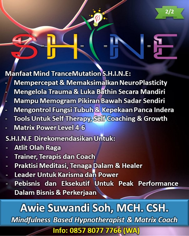 22 SHINE